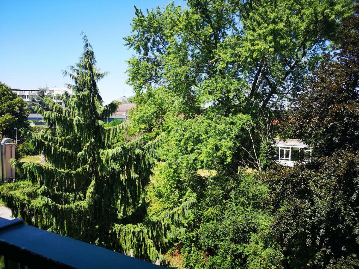 Ott 3* Bad Krozingen